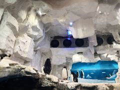 -华夏文旅海洋公园