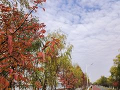 -艾溪湖湿地公园