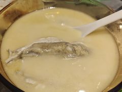 -沈灶河豚宴·河豚融合餐厅(汉中路店)