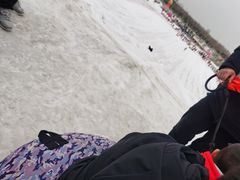 -绿野森林乐园冰雪季