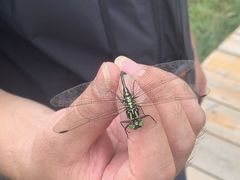 -白草畔自然风景区