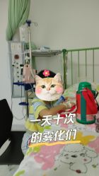 -天津市儿童医院(北辰龙岩院区)
