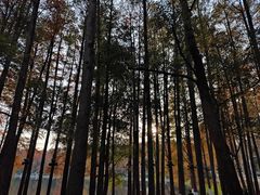 -东湖生态旅游风景区