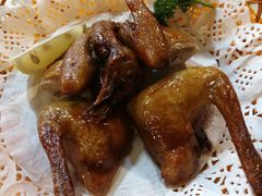 -一煲鸽