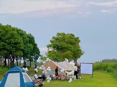 -春花秋色城市公园