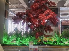 -小湘旺臭鳜鱼(百子湾店)