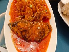 -大连湾旭日·家宴·海肠捞饭(马栏广场店)