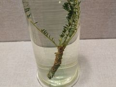 -青海藏文化博物院