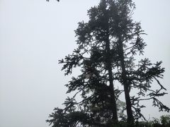 -青城山