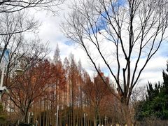 -新虹桥中心花园