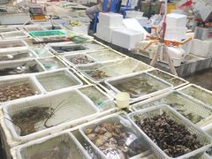 -外伶仃岛海鲜市场