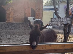 -HERRE·FARM 赫尔露营农场·团建聚会包场