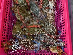 -众味海鲜大排档·活海鲜·潮汕味(南澳店)