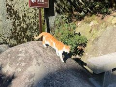 -天柱山风景区