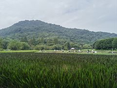 -八卦田遗址公园