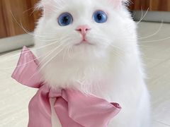 -中国中医科学院西苑医院(本部)