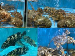 水产区-顺风山庄(水濂山店)