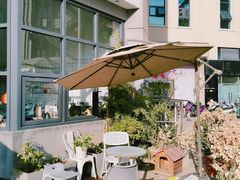 -隹木咖啡馆(宝龙广场店)