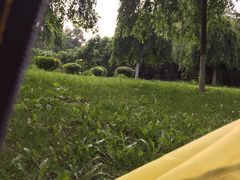鸟岛公园-沈阳鸟岛