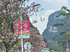 -明仕田园
