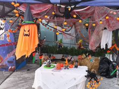 -季高兔窝窝亲子园(上海薰衣草公园店)