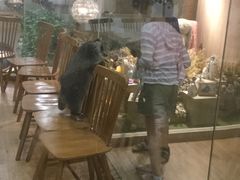 -藦茜花园宠物主题亲子互动体验馆(国顺东路店)