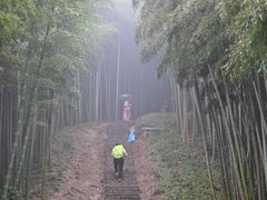 -莫干山风景区
