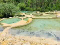 -黄龙山原始森林景区