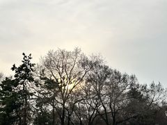 -北陵公园