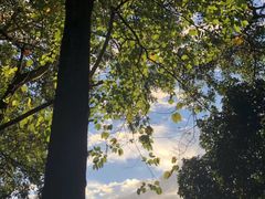 -风云岭森林公园
