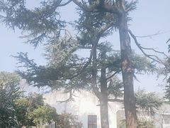 -苏州图书馆(人民路总馆)