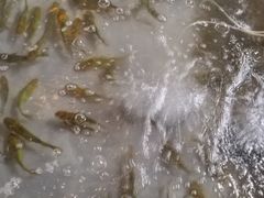 -茅台镇网红溶洞餐厅·茅帮菜馆