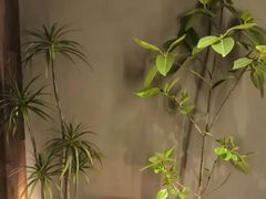 -满堂匠心川宴·私房菜(天府三街店)
