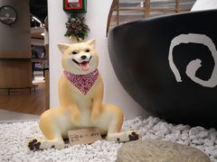 -小杨生煎(湟普汇店)