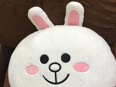 -LINE FRIENDS Garosu-gil Flagship Store