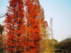 -兰亭风景区