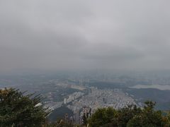 -梧桐山风景名胜区
