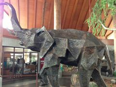 -清迈夜间动物园