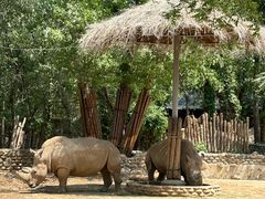 -北京野生动物园