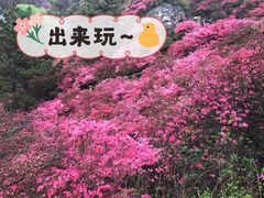 -木兰云雾山