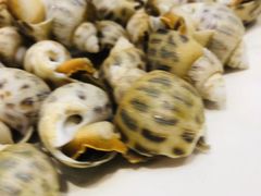 -海鲜城大家餐厅