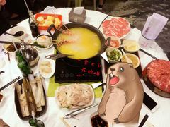 -鲜入围煮花胶鸡海鲜火锅