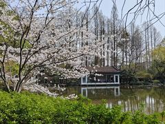 -山外山菜馆(玉泉路店)