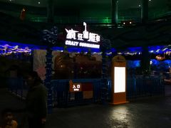 -青岛嘉年华主题乐园