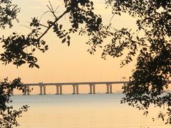 -宝安西湾红树林湿地公园