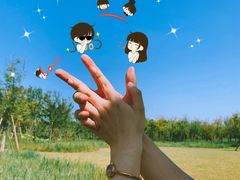 -春花秋色城市公园