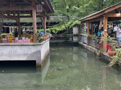 -源泉冷水鱼庄(小鱼洞店)