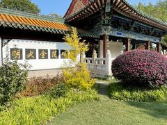 -阅江楼风景区