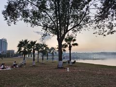 -仙湖旅游度假区