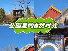 -抱犊寨风景区